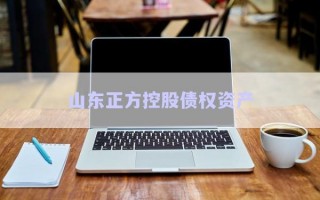 山東正方控股債權資產(chǎn)