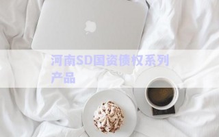 河南SD國(guó)資債權(quán)系列產(chǎn)品