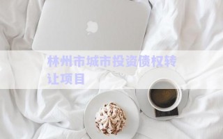 林州市城市投資債權轉讓項目