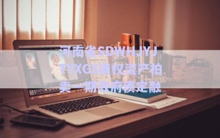 河南省SDWHJYJTYXGS債權資產(chǎn)拍賣一期政府債定融