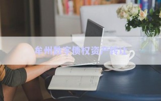 牟州數(shù)字債權資產(chǎn)轉讓