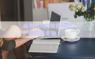 山東SDWL旅債權(quán)資產(chǎn)政府債定融 山東SDWL旅債權(quán)資產(chǎn)政府債定融
