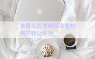 長葛大周發(fā)展投資債權資產(chǎn)轉讓項目