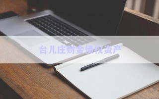 臺兒莊財金債權(quán)資產(chǎn) 臺兒莊財金債權(quán)資產(chǎn)