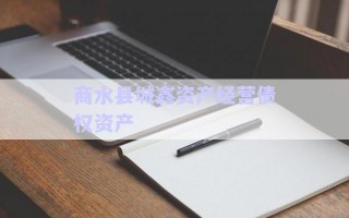 商水縣城鑫資產(chǎn)經(jīng)營(yíng)債權(quán)資產(chǎn)
