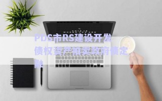 PDS市RS建設開發(fā)債權(quán)資產(chǎn)拍賣政府債定融