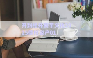 開封經(jīng)開數(shù)字文化2025債權資產(chǎn)01