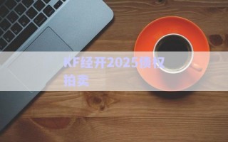 KF經(jīng)開(kāi)2025債權(quán)拍賣