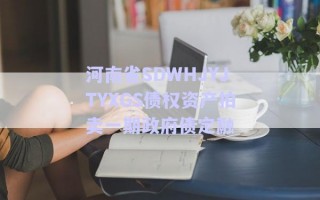 河南省SDWHJYJTYXGS債權(quán)資產(chǎn)拍賣一期政府債定融 河南省SDWHJYJTYXGS債權(quán)資產(chǎn)拍賣一期政府債定融