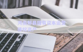 河南郟縣國有資本運營債權(quán)資產(chǎn)