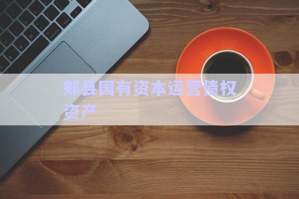 郟縣國有資本運營債權資產-第1張圖片-政信固收網