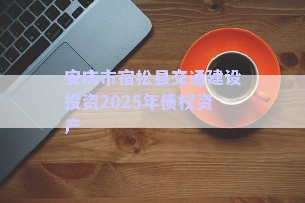 安慶市宿松縣交通建設投資2025年債權(quán)資產(chǎn)-第1張圖片-政信固收網(wǎng)