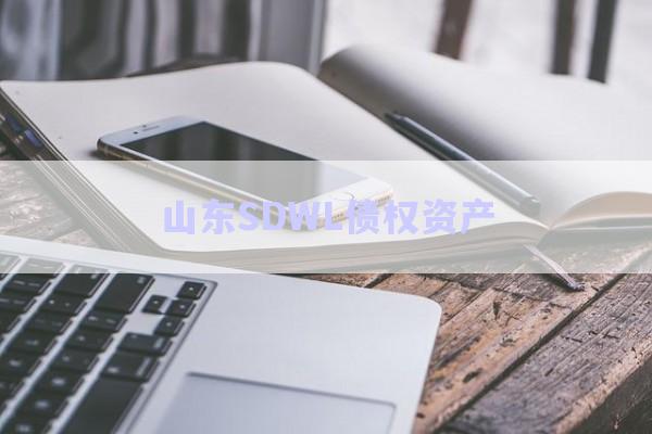 山東SDWL債權資產(chǎn)-第1張圖片-政信固收網(wǎng)
