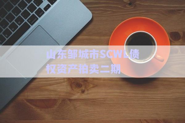 山東鄒城市SCWL債權資產拍賣二期-第1張圖片-政信固收網